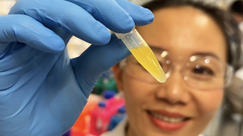 Cubosomas: la nanotecnología que puede salvar millones de ojos